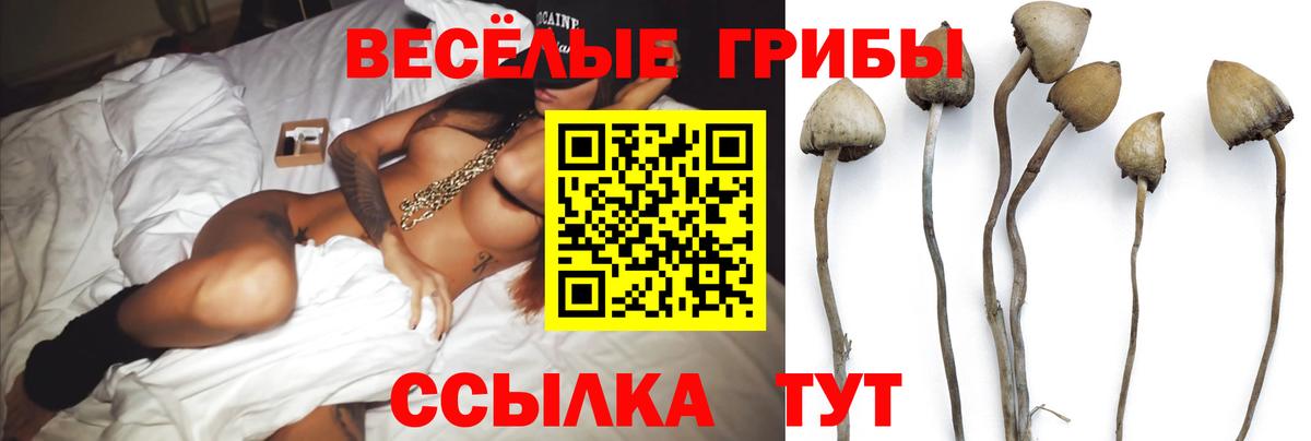 ГАШ  Гашиш  Черкесск  МЕТ  Меф   Вход с VPN  Кокаин  Марихуана 